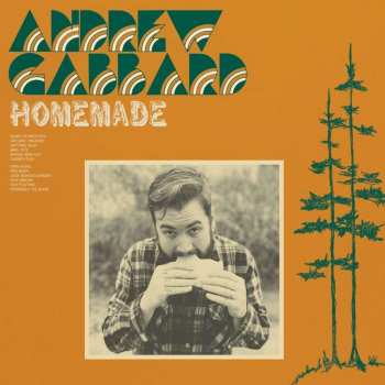 LP Andrew Gabbard: Homemade LTD | CLR