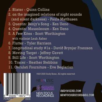 CD Andy Kozar: A Few Kites