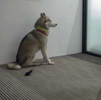 CD Andy Moor: Marker