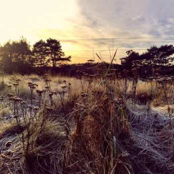 CD Ane Brun: Leave Me Breathless 