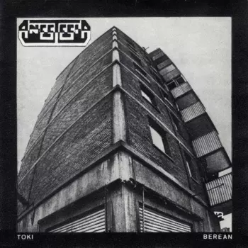 Anestesia: Toki Berean