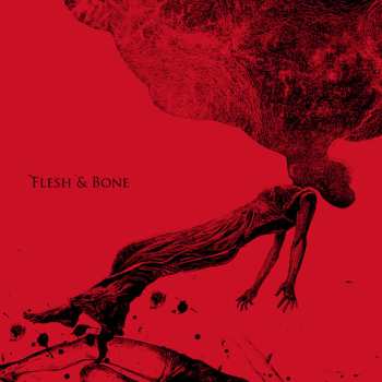 Album Aneuma: Flesh & Bone