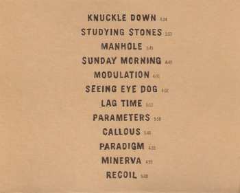 CD Ani DiFranco: Knuckle Down