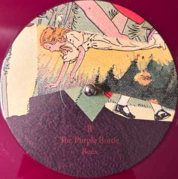 3LP Animal Collective: Feels CLR | LTD