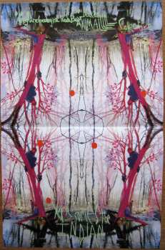 LP Animal Collective: Here Comes The Indian