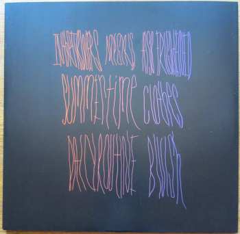 2LP Animal Collective: Merriweather Post Pavilion DLX