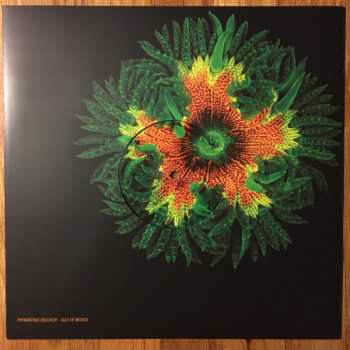 2LP Animal Collective: Tangerine Reef LTD | CLR