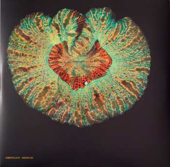 2LP Animal Collective: Tangerine Reef