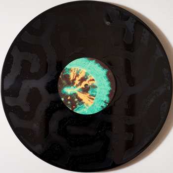 2LP Animal Collective: Tangerine Reef