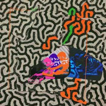 2LP Animal Collective: Tangerine Reef