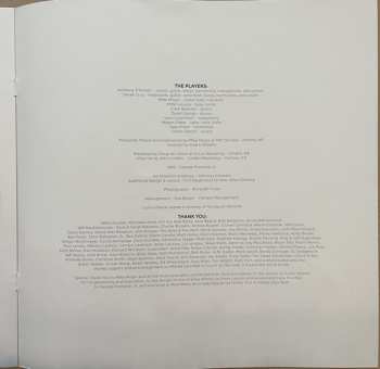 LP Anthony D'Amato: Cold Snap