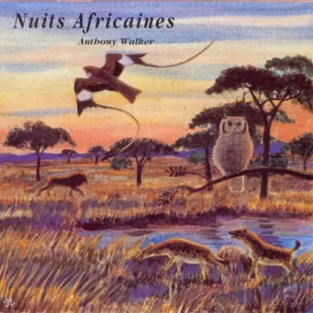 Nuits Africaines / African Sounds At Dusk