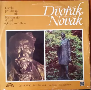 Dumky Pro Klavírní Trio / Klavírní Trio D Moll "Quasi Una Ballata"