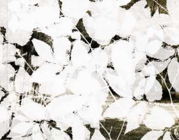 CD Antonio Carlos Jobim: Perfil Vol 2