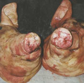 CD The Alchemist: Haram