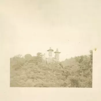 Lost Island