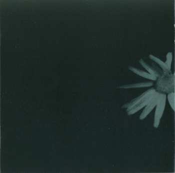 CD As Divine Grace: Lumo