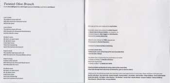 CD Asaf Avidan: The Study On Falling