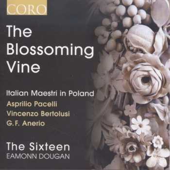 Album The Sixteen: The Blossoming Vine - Italian Maestri In Poland