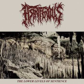 CD Astriferous: The Lower Levels Of Sentience