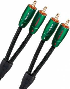 Technique audio Audioquest Evergreen RR