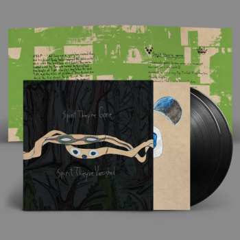 2LP Panda Bear: Spirit They're Gone Spirit They've Vanished CLR