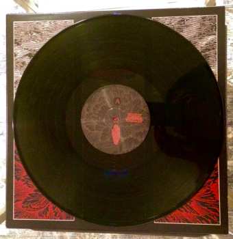 LP Axis: Show Your Greed