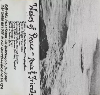 Aziz and Friends: Waves of Peace