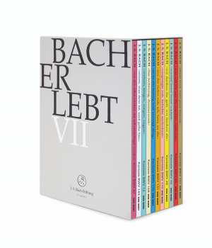 11DVD/Coffret Johann Sebastian Bach: Bach Erlebt VII