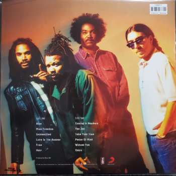 LP Bad Brains: Rise