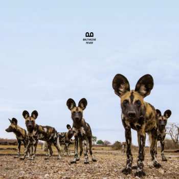 CD Balthazar: Fever DIGI
