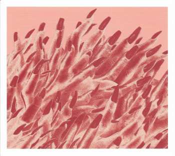 2CD/Coffret/Blu-ray Band-Maid: Unseen World LTD