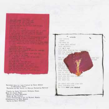 LP Basically Nancy: Wounds