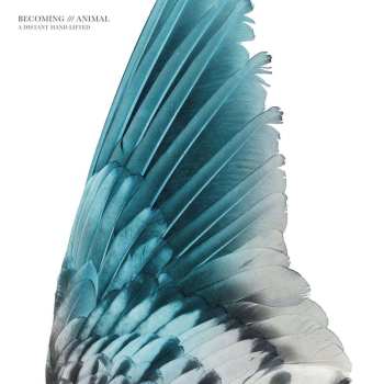 LP Massimo Pupillo: A Distant Hand Lifted
