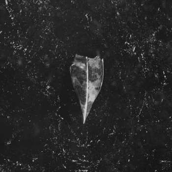 CD Bees Made Honey In The Vein Tree: Aion (digisleeve)
