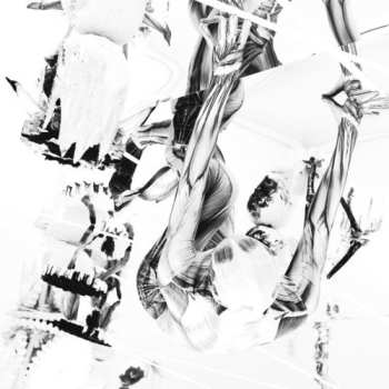 Album Belp: Crocodile