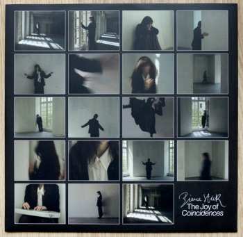 LP Bianca Steck: The Joy Of Coincidences