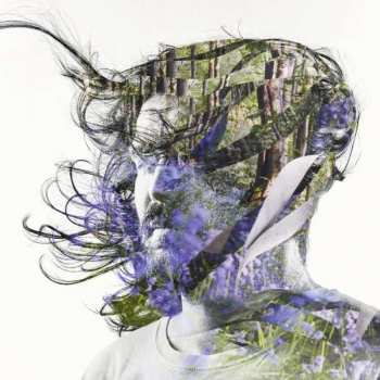 Album Bibio: Ribbons