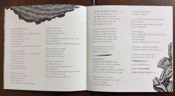 CD/Blu-ray Big Big Train: Woodcut DLX | LTD | DIGI