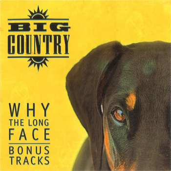 4CD/Coffret Big Country: Why The Long Face DLX