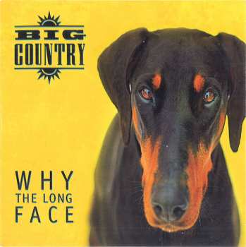 4CD/Coffret Big Country: Why The Long Face DLX