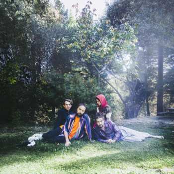 LP Big Thief: U.F.O.F.
