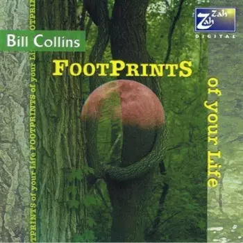 Bill Collins: Footprints Of Your Life