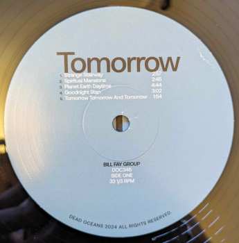 2LP Bill Fay Group: Tomorrow Tomorrow And Tomorrow LTD