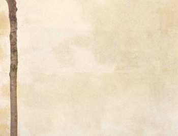 CD Billy McLaughlin: Fingerdance