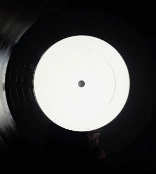 LP Birds Of Passage: The Death Of Our Invention
