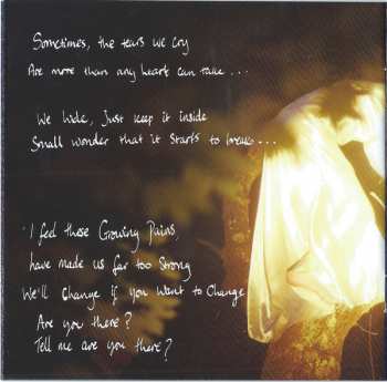 CD Birdy: Beautiful Lies