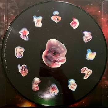 LP Björk: Cosmogony LTD | PIC