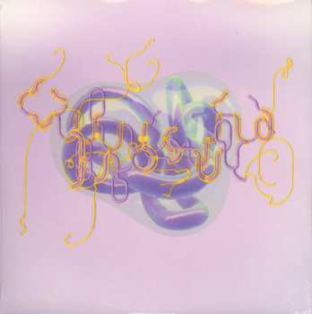 LP Björk: Family (Bloom's North Mix)  LTD | CLR