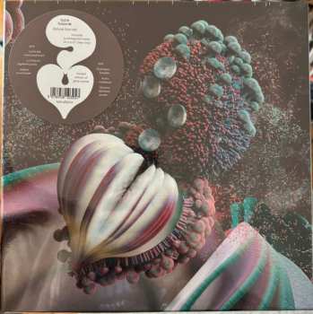 Coffret/2EP Björk: Fossoræ DLX | LTD | CLR